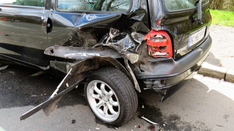 Nieszczęśliwe zdarzenie na autostradzie A4: Łoś wpada przed samochód i powoduje poważny wypadek